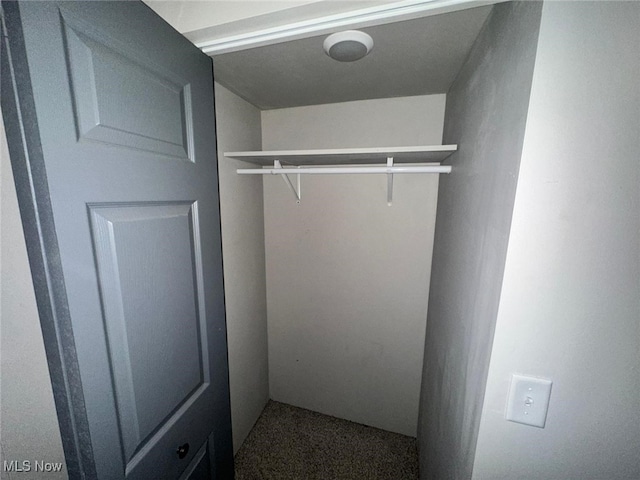 view of closet