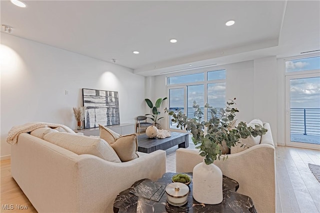 living room with light hardwood / wood-style floors