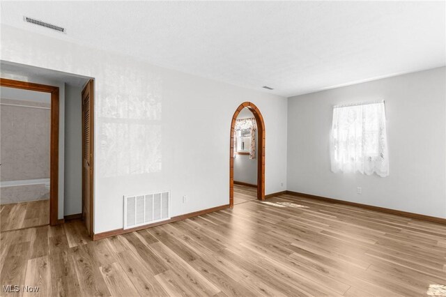 spare room featuring light wood-type flooring and a wealth of natural light