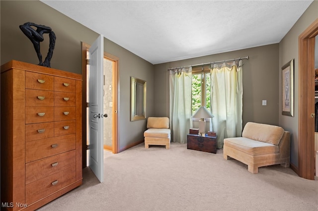 living area with a textured ceiling and carpet