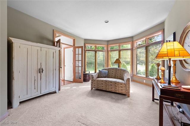 sitting room featuring carpet