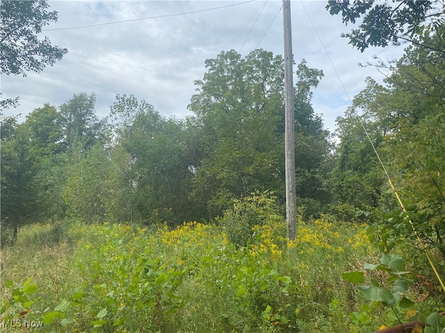 Gore Orphanage Rd, New London OH, 44851 land for sale