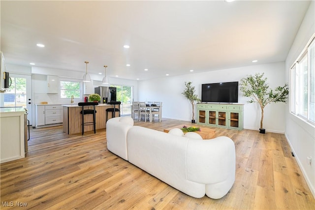 living room featuring light hardwood / wood-style floors