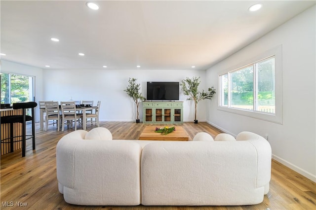 living room featuring hardwood / wood-style flooring and plenty of natural light