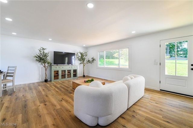 living room with light hardwood / wood-style floors and a wealth of natural light