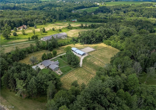 drone / aerial view featuring a rural view