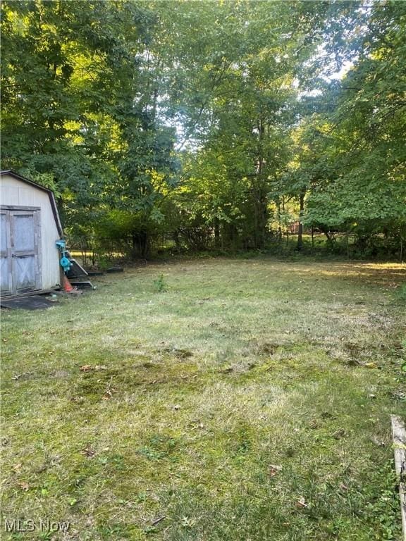 view of yard with a storage shed