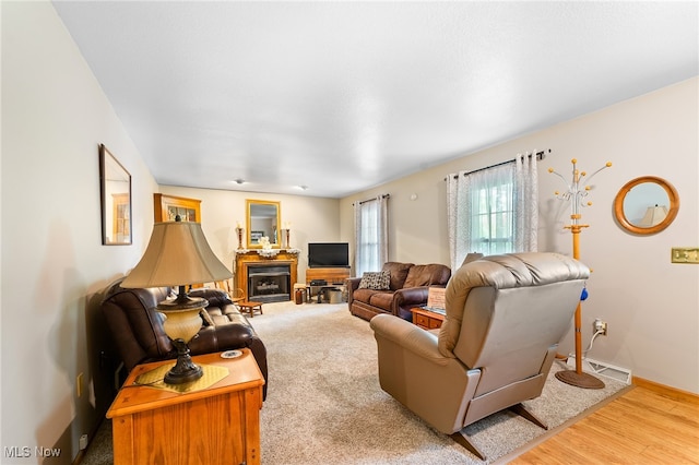 living room featuring hardwood / wood-style flooring