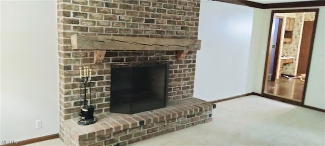 room details with carpet flooring and a fireplace