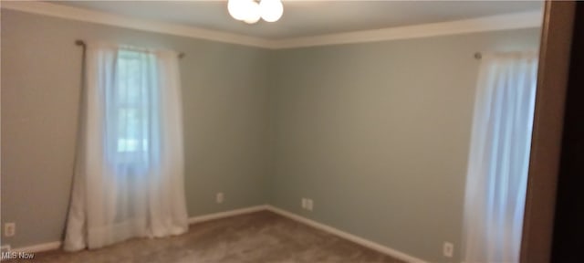 unfurnished room featuring carpet floors