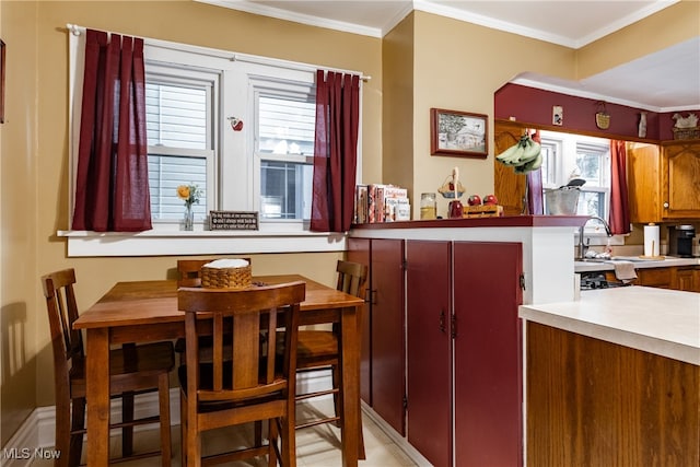 dining room featuring ornamental molding and sink