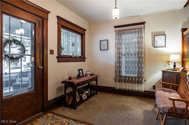 interior space featuring ornamental molding, a healthy amount of sunlight, and carpet flooring