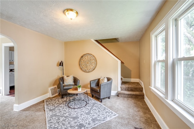 sitting room featuring carpet flooring and a textured ceiling