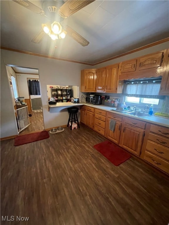 kitchen featuring dark wood-type flooring, ceiling fan, and ornamental molding