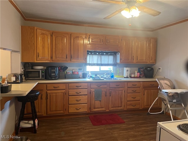 kitchen with crown molding, sink, ceiling fan, and dark hardwood / wood-style floors