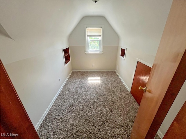 additional living space with lofted ceiling and carpet flooring