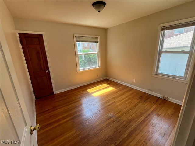 spare room featuring a wealth of natural light and wood-type flooring