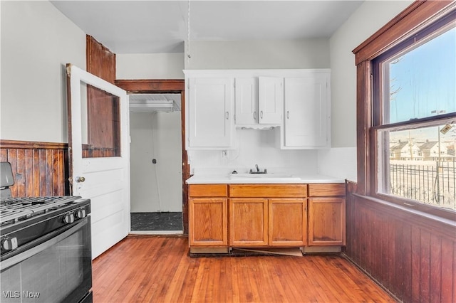 kitchen with sink, light wood-type flooring, a wealth of natural light, and range with gas cooktop