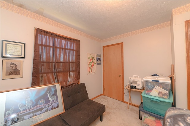 interior space featuring a textured ceiling and light colored carpet