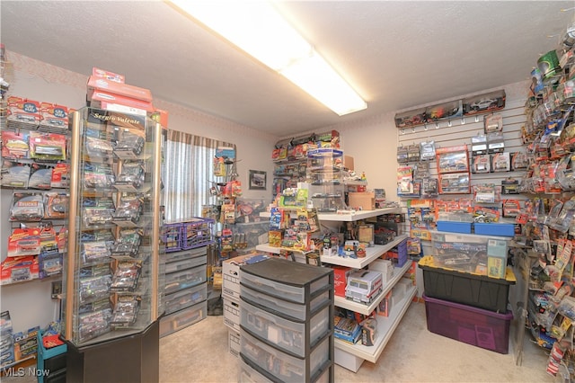 misc room with a textured ceiling and light carpet