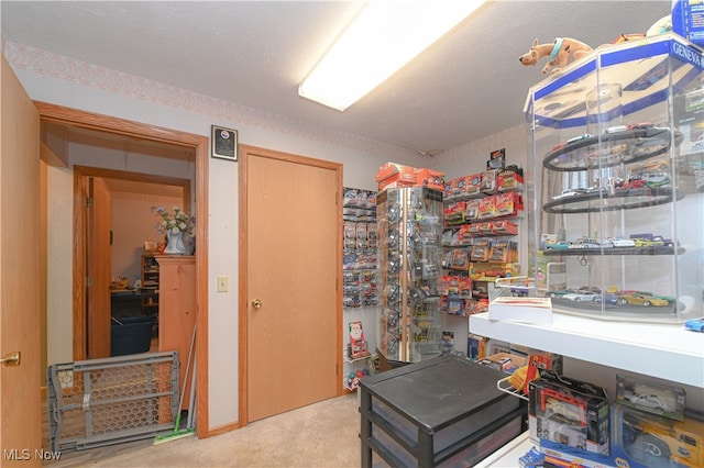 interior space with light carpet and a textured ceiling