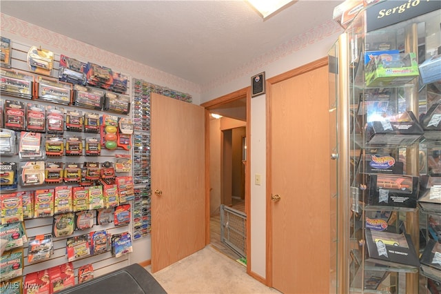 interior space featuring light carpet and a textured ceiling