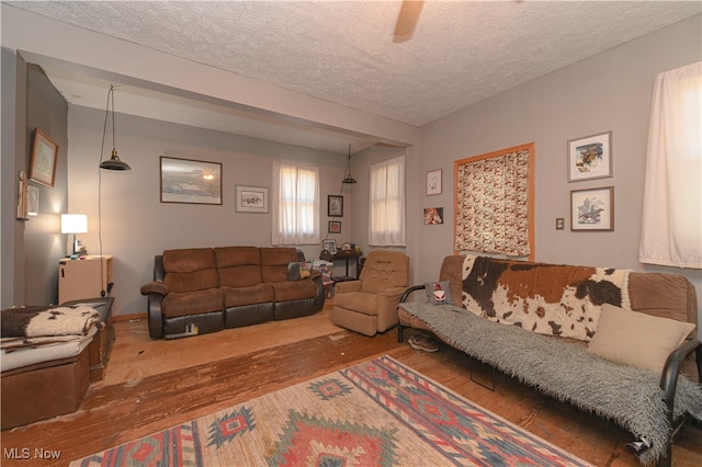 living room featuring hardwood / wood-style flooring and a textured ceiling