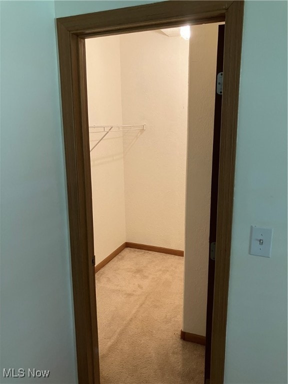 walk in closet featuring light colored carpet