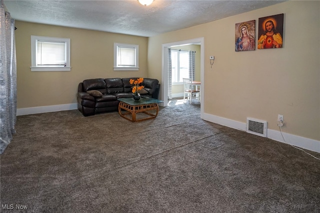 carpeted living room with a textured ceiling