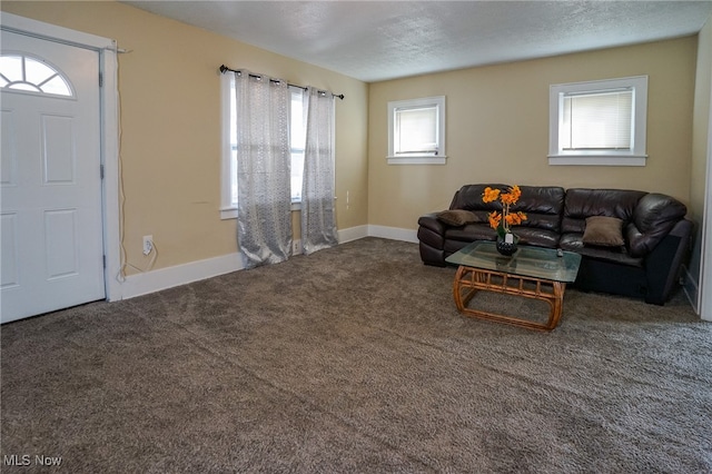 carpeted living room with a textured ceiling and a healthy amount of sunlight