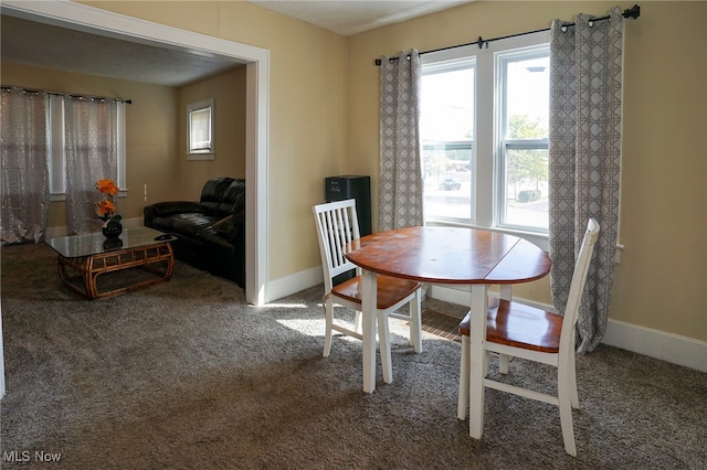 dining area featuring carpet