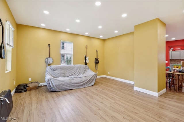 living area featuring light hardwood / wood-style flooring