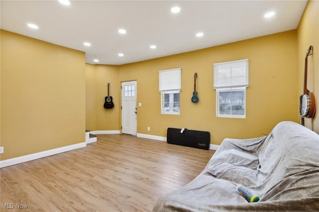 living room with light hardwood / wood-style flooring and a wealth of natural light