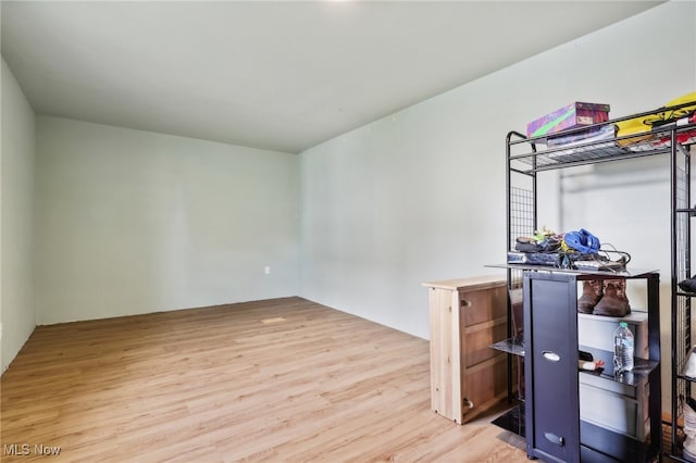 interior space with light wood-type flooring