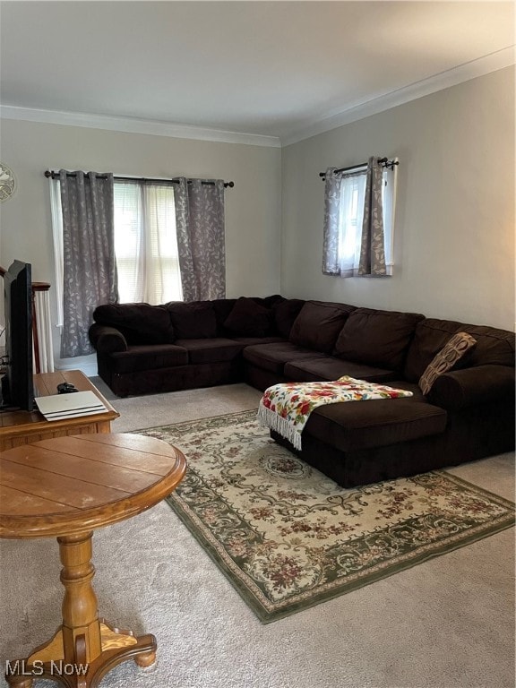 carpeted living room featuring a healthy amount of sunlight and ornamental molding