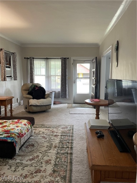 carpeted living room featuring ornamental molding and a healthy amount of sunlight