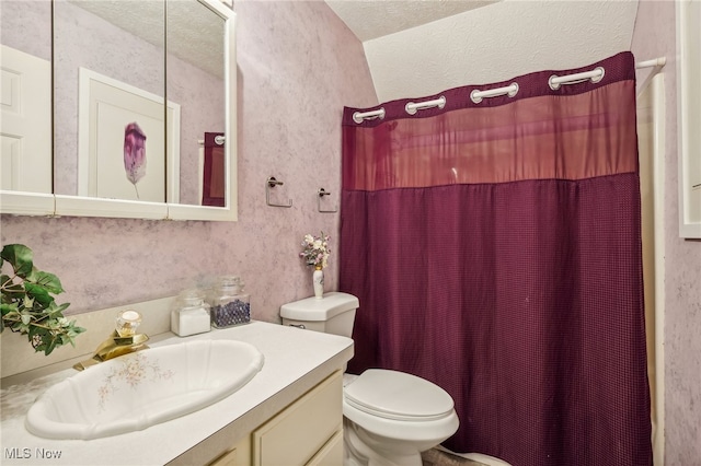 bathroom with vanity, a textured ceiling, and toilet