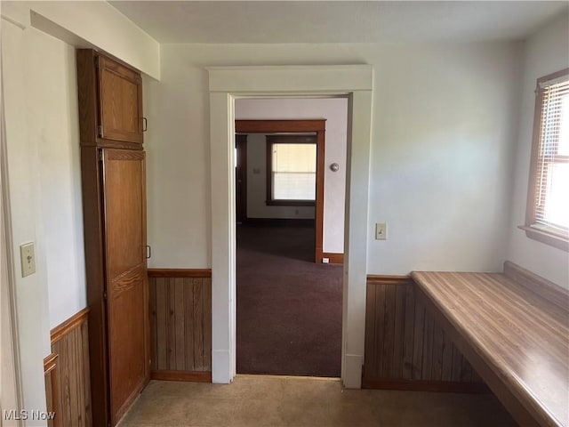 corridor featuring light colored carpet, wood walls, and wainscoting