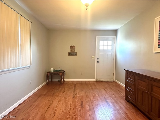 entrance foyer with light hardwood / wood-style flooring