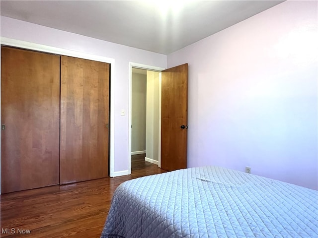 bedroom featuring dark hardwood / wood-style floors and a closet