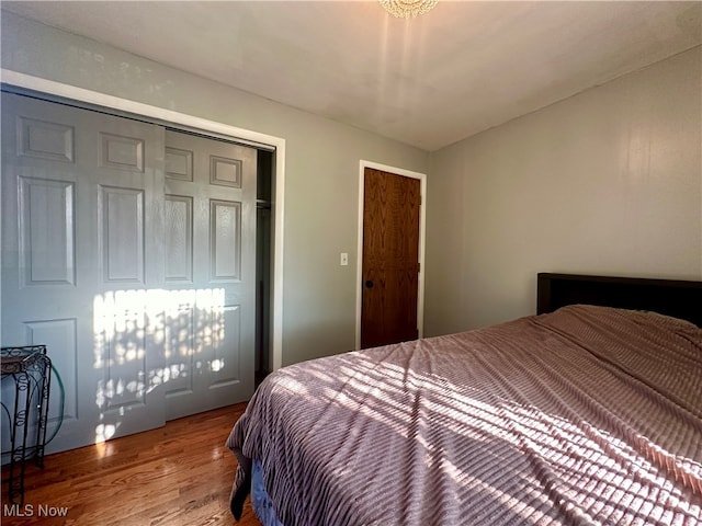 bedroom featuring wood-type flooring and a closet