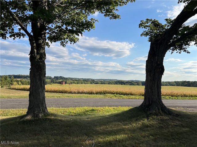 view of yard with a rural view