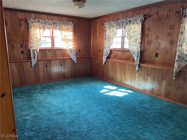 empty room with plenty of natural light, carpet, and a textured ceiling