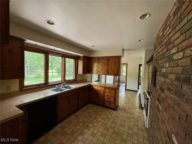 kitchen featuring a fireplace, black dishwasher, and sink