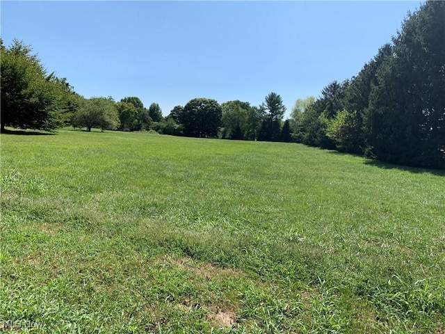 view of yard with a rural view