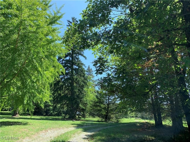 28815 State Route 7 N, Marietta, OH 45750 - view of community featuring a lawn and driveway