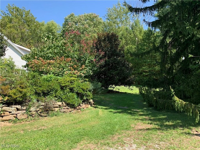 28815 State Route 7 N, Marietta, OH 45750 - view of yard