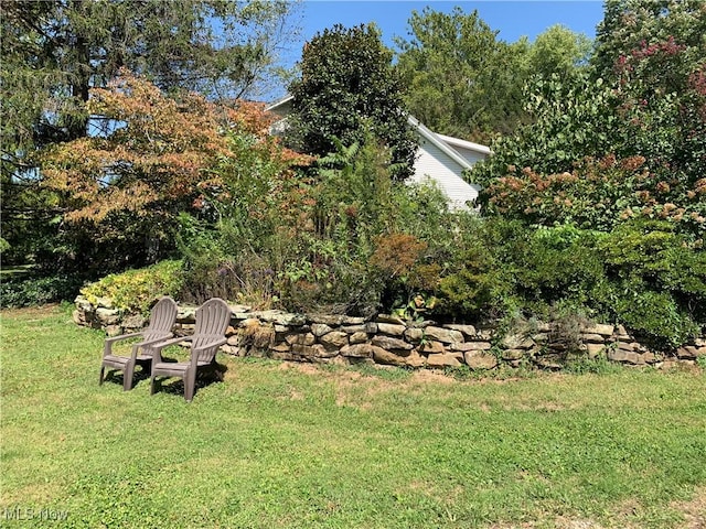 28815 State Route 7 N, Marietta, OH 45750 - view of yard