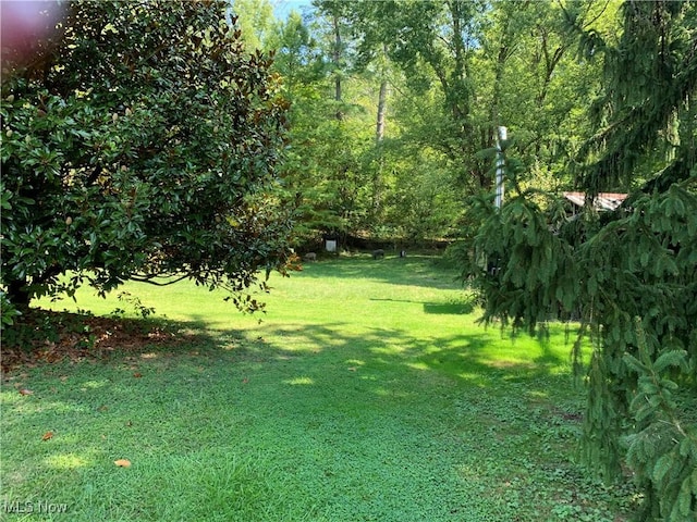28815 State Route 7 N, Marietta, OH 45750 - view of yard