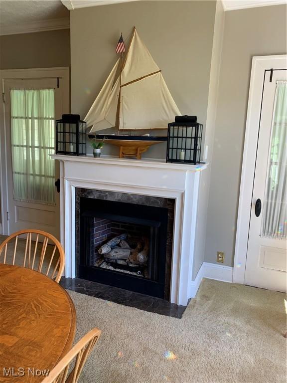 28815 State Route 7 N, Marietta, OH 45750 - details with a fireplace with flush hearth, carpet, baseboards, and ornamental molding